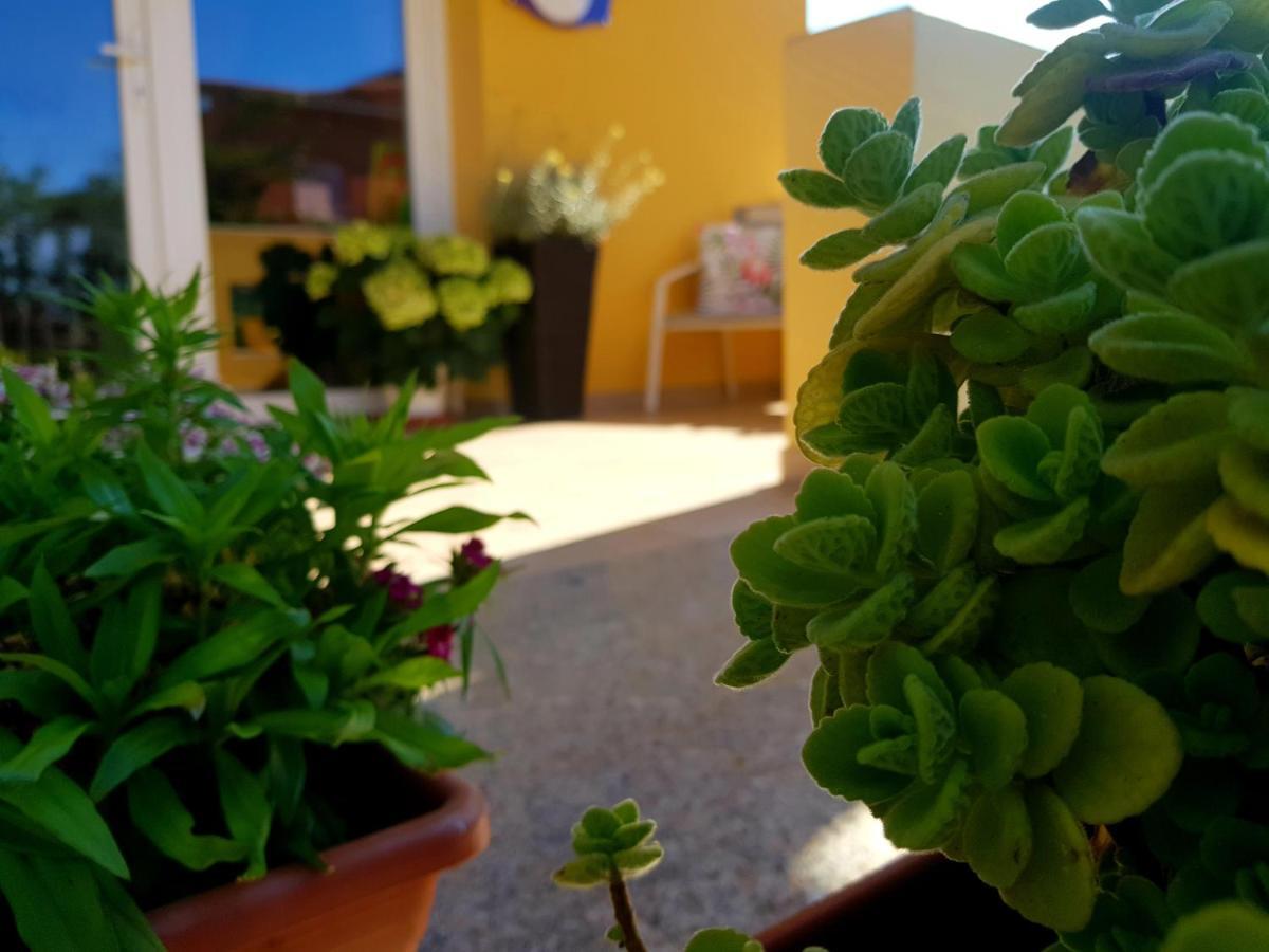 B&B L'Arcobaleno Pula Exterior photo